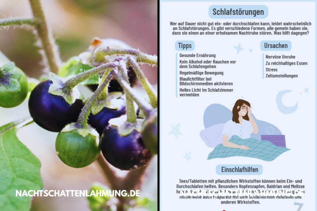 nachtschattenlähmung